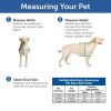 PetSafe Wall Dog Door - Small - ZPA00-16201