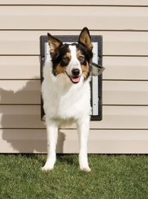 PetSafe Wall Entry Pet Door - Medium - ZPA00-16202