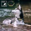 Dog Training Collar; Shock Collar for Dogs with Remote; Rechargeable Dog Shock Collar; 3 Modes Beep Vibration and Shock Waterproof Bark Collar