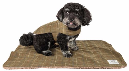 Touchdog 2-In-1 Windowpane Plaided Dog Jacket With Matching Reversible Dog Mat (Color: Green, size: large)