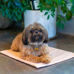 Cool Pet Pad Cover (Color: Nude, size: XS)